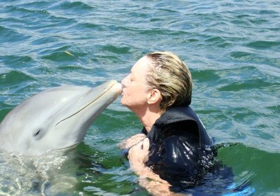 Barbara Burke - Dolphin